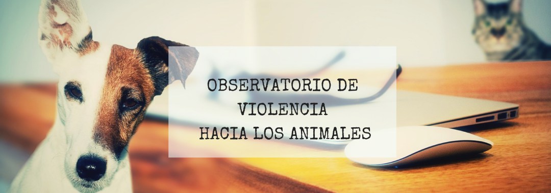 Observatorio de Violencia Hacia los Animales